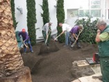 Gartenarchitektur: Bepflanzung der Orangerie des Jardins d'Alysea