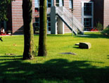 Gartenplanung Kita Berlin