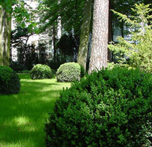 Gartengestaltung + Landschaftsgestaltung Elmar Knippschild