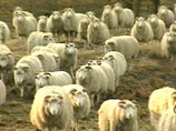 Landwirtschaft