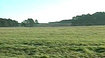 Landschaftsarchitekt für Ornamented Farming, Brandenburg